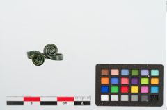 Foto von Bronzevolutenfingerring (NHMW-PRAE-025041)